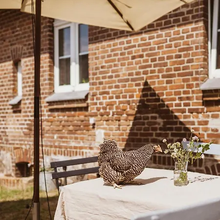 Alte Schule Brandenburg Wusterhausen