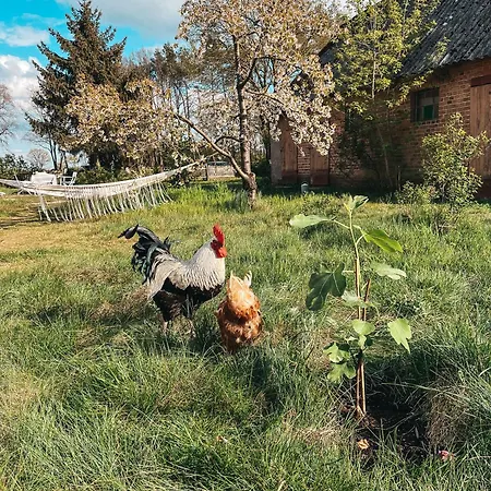 Alte Schule Brandenburg *
