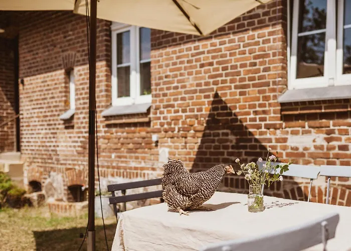 Alte Schule Brandenburg Wusterhausen