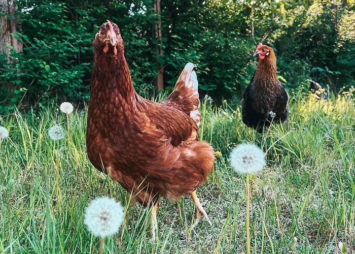 Alte Schule Brandenburg Wusterhausen