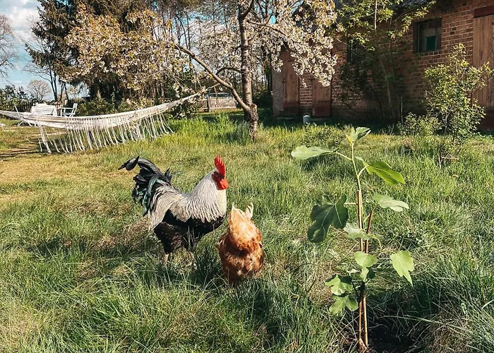 Alte Schule Brandenburg *
